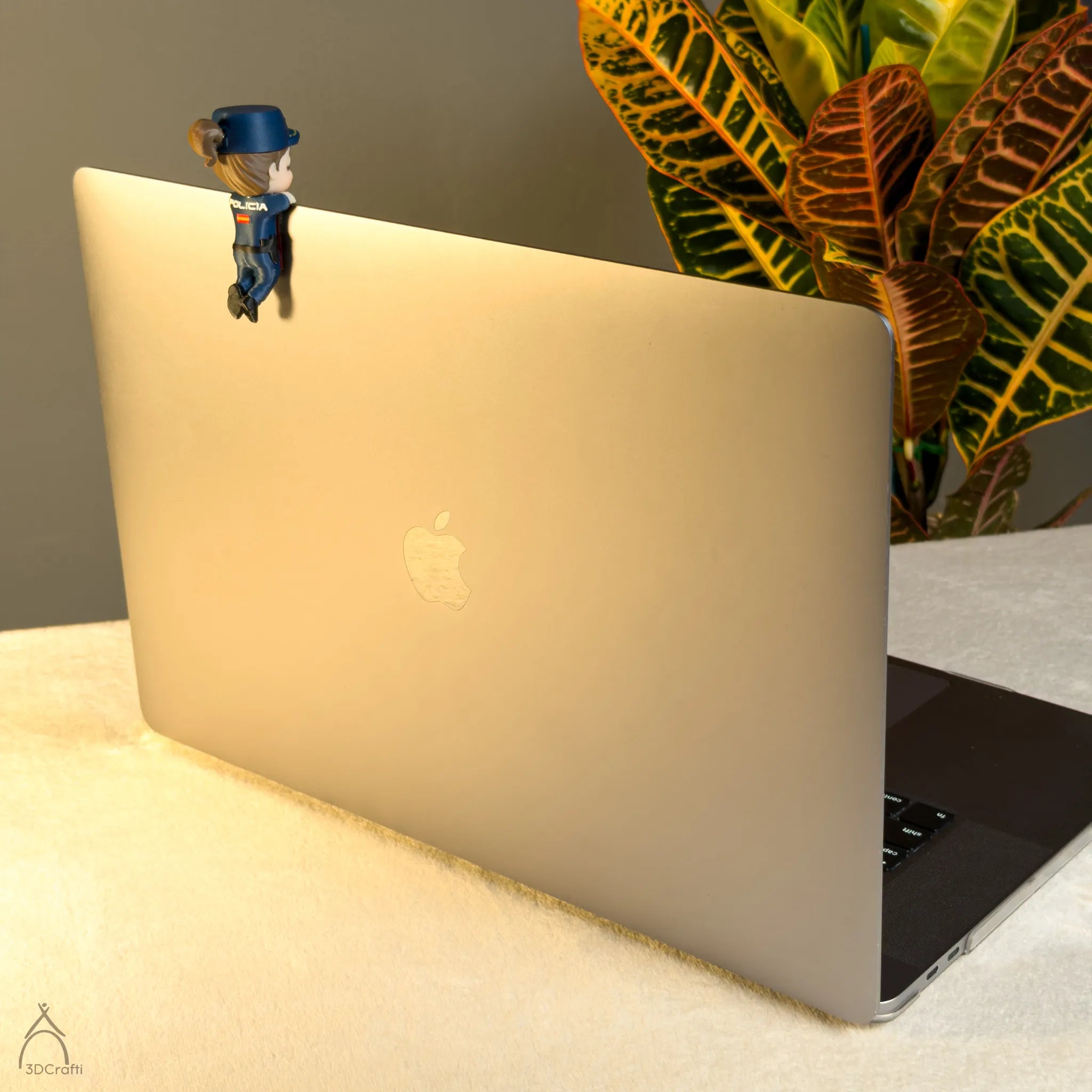 Monis Policía Nacional